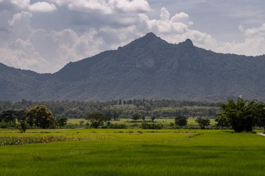 Fields landscape scenery view of Thailand with local villages and behind is forest mountains with beautiful morning sunlight clouds and bright blue sky. No focus, specifically.