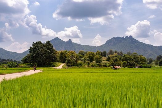 Straight road to the village with scenery view on the side and behind is forest mountains with beautiful morning sunlight clouds and bright blue sky. No focus, specifically.