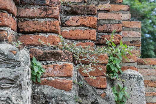 Close-up of Cracked concrete vintage brick wall background. Archaeological area. Pattern on the wall with space for text, No focus, specifically.