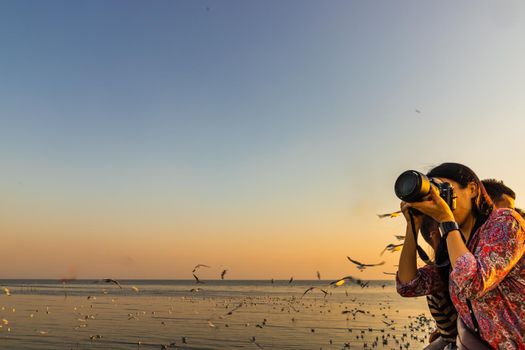 Asian woman taking photo seagulls at Bangpu seaside. Thailand. Selective focus.