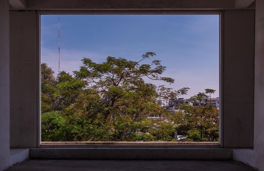 Urban with green trees. Looking through the window frames in an abandoned building Selective focus.