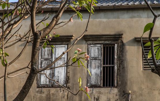Old wooden windows on the old wall. Traditional Architecture style, Selective focus.