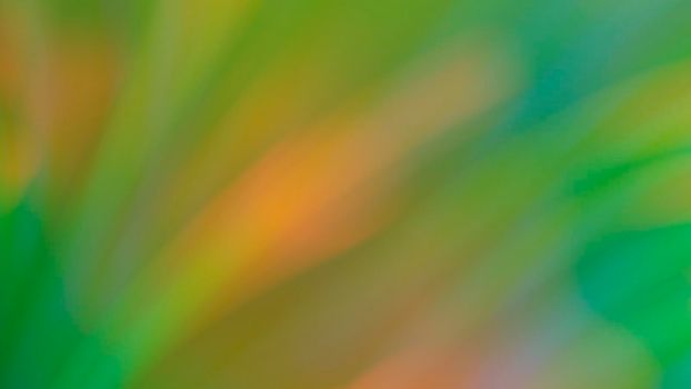 Abstract blurry green background with rainbow highlights.