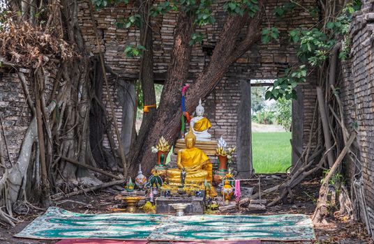 Nakhon Nayok, Thailand - Mar 21, 2020 : Many big tree roots covering The ancient church without roof inside there is a Buddha statue at The ancient of a 200 year old church. Wat Pah Krathum. Selective focus.