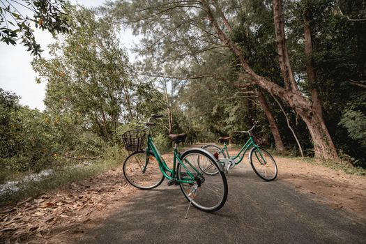 A bicycle on road with sunlight and green tree in park outdoor.