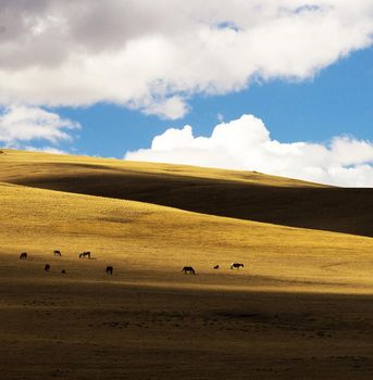 Kyrgyzstan pictures