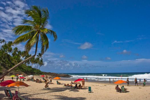 Itacare, Tropical beach view, Bahia, Brazil, South America