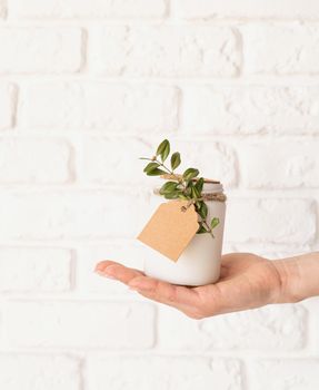 Home decoration and interior. Female hand holding beautiful white candle with fresh leaves on white brick wall background