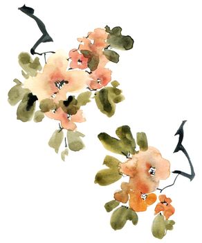 Watercolor and ink illustration of blossom tree branch with flowers, buds and leaves. Oriental traditional painting in style sumi-e, u-sin and gohua.