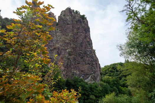 View at rock formation Rheingrafenstein with multi colored tree in foreground