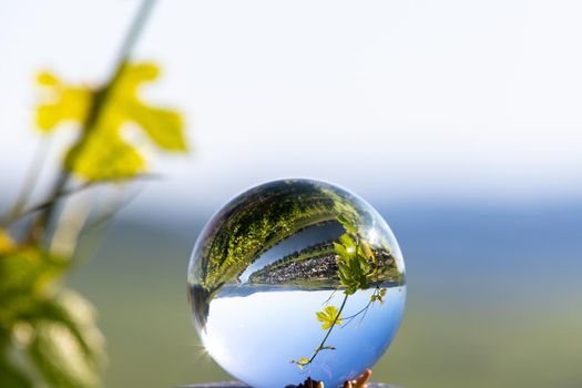 Crystal ball shows valley of river moselle and defocused grapevine in background