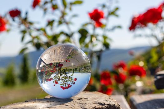 Crystal ball on shale stone with defocused red rose flowers and Moselle valley in background