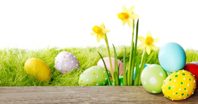 Yellow narcissus flowers and easter eggs on spring grass background