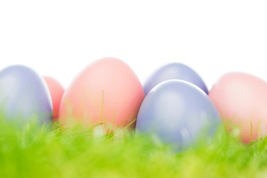 Colorful easter eggs in fresh spring green grass