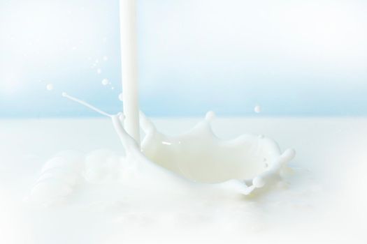 Pouring milk splash on blue background close-up