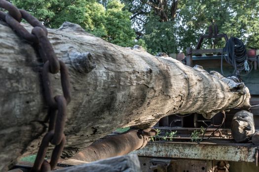 Old Logging truck with wooden logs on old traditional farm area. Abandoned car, Selective focus.