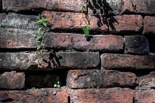 Close-up of Cracked concrete vintage brick wall background. Archaeological area. Pattern on the wall with space for text, Focus and blur.