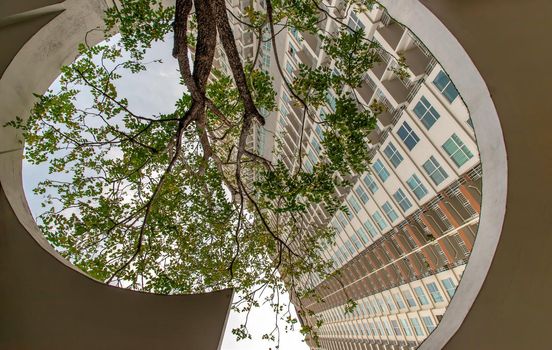 Bangkok, Thailand - Dec 09, 2020 : A big tree in the middle of building in summer time. Building design for green living concept. Environmental friendly building design. Ecology concept. Selective focus.