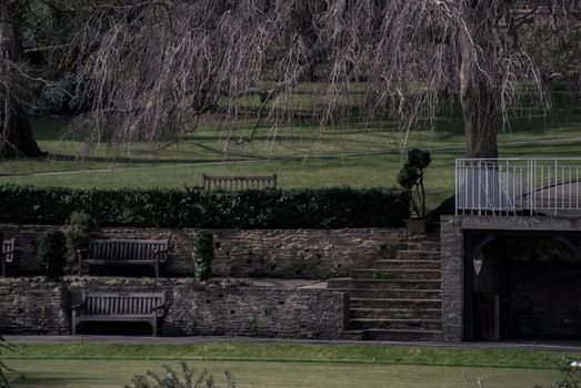 Wooden benchs on grass lawn outdoor for relaxing in spring time at nature park. Garden landscape with wooden chairs in nature. Focus and blur.
