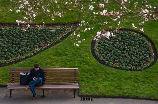 Guildford, United Kingdom - May 05, 2019 : A man sit and pressing mobile on wooden bench in green park. No focus, specifically.