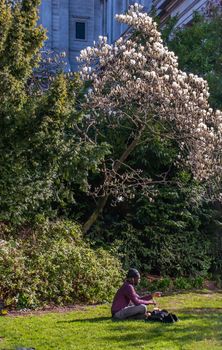 London, United Kingdom - APR 21, 2019 : A man sit and relax on a green lawn in a park. Summer afternoon in the park. No focus, specifically.