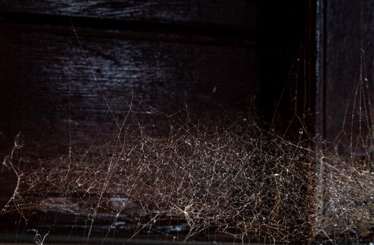 Spider woven web in wall of ancient thai house, Abstract Spiderweb on wall background