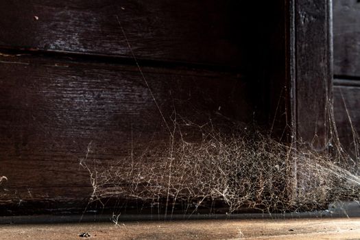 Spider woven web in wall of ancient thai house, Abstract Spiderweb on wall background