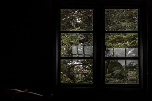 Empty dark room with green landscape in window, Tree view.