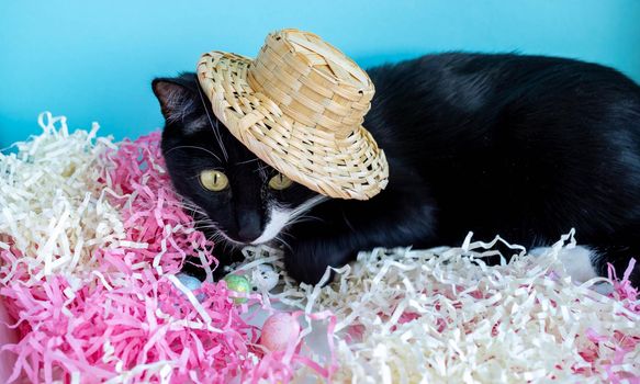 A black cat lies on the tinsel next to the eggs in a straw hat. Easter Concept.