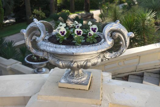Sochi, Russia. Silver vase with plants on the background of nature in the arboretum.