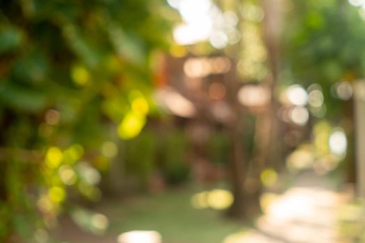 Blur nature bokeh green park by beach and tropical coconut trees in sunset time.