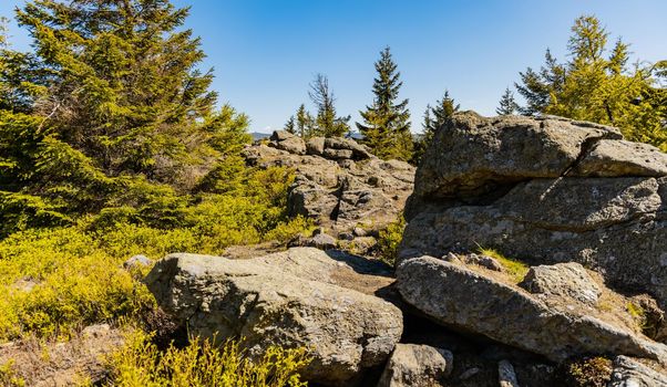 Giant rocks next to mountain trail in Jizera mountains