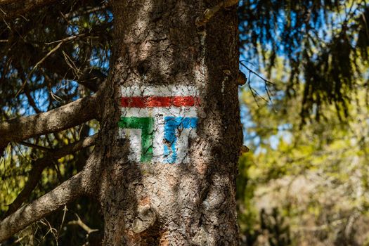 Sign of divergence of mountain trails in Jizera mountains painted on a tree