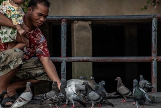 Nonthaburi, Thailand - 21 Jul 2019 : An asian man and baby feeding a lot of pigeons flying around nonthaburi Pier in the evening.