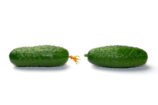 ripe cucumbers on a white background. isolate. High quality photo