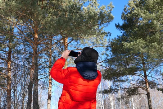 Man and nature. A young man in winter in bright clothes takes photos in nature. Coniferous forest and blue sky. High quality photo