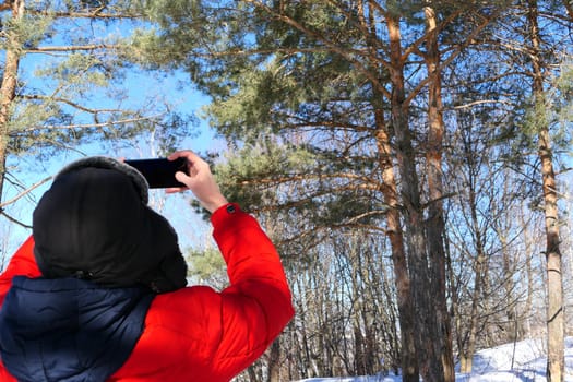 Man and nature. A young man in winter in bright clothes takes photos in nature. Coniferous forest and blue sky. High quality photo