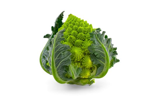Fresh cauliflower romanesco isolated on white background
