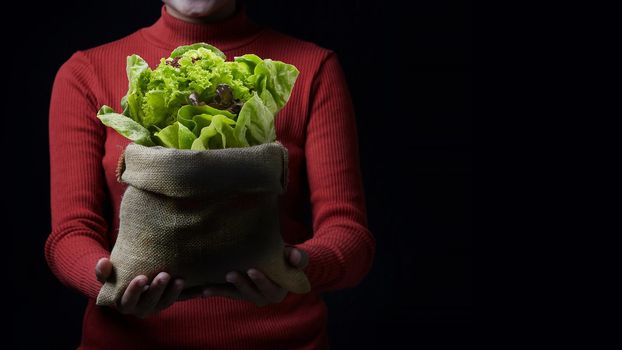 Woman holding vegetable delivery for healthy on dark background