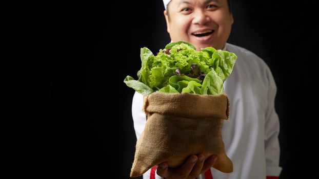 Vegetable in sack on chef hand is holding