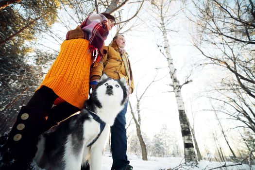 Guy and girl with husky dog in winter in the forest, bottom view. 