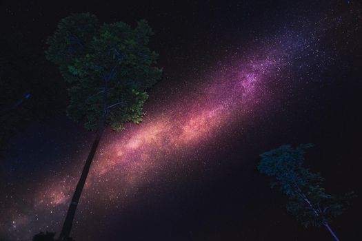 The Milky Way is beautiful and some trees.Kanchanaburi, Thailand.