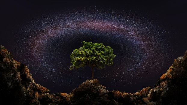 The Milky Way is beautiful and some tree