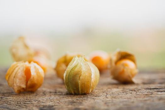 Cape Gooseberries in a group on wood