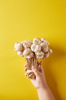 Garlic bouquet is flowers on hand with yellow background