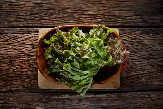 Still life with Red Oak Leaf salad on wooden bowl