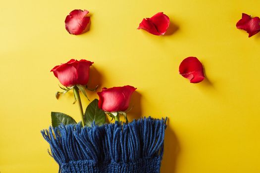 Red rose of Valentine’s Day on yellow background