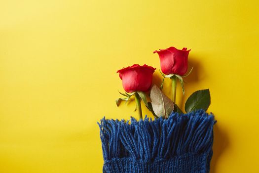 Red rose of Valentine’s Day on yellow background