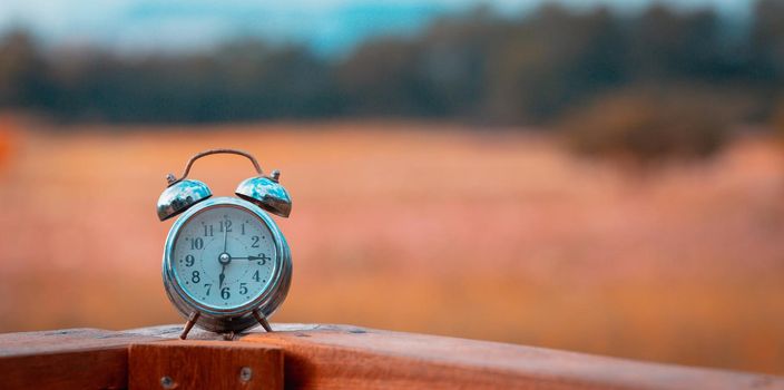 Old Alarm Clock  with garden background