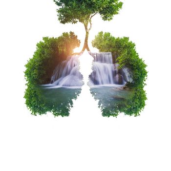 Green tree lungs with waterfall isolated on white. Healthy and medicine or Natural green environment concept. Double exposure